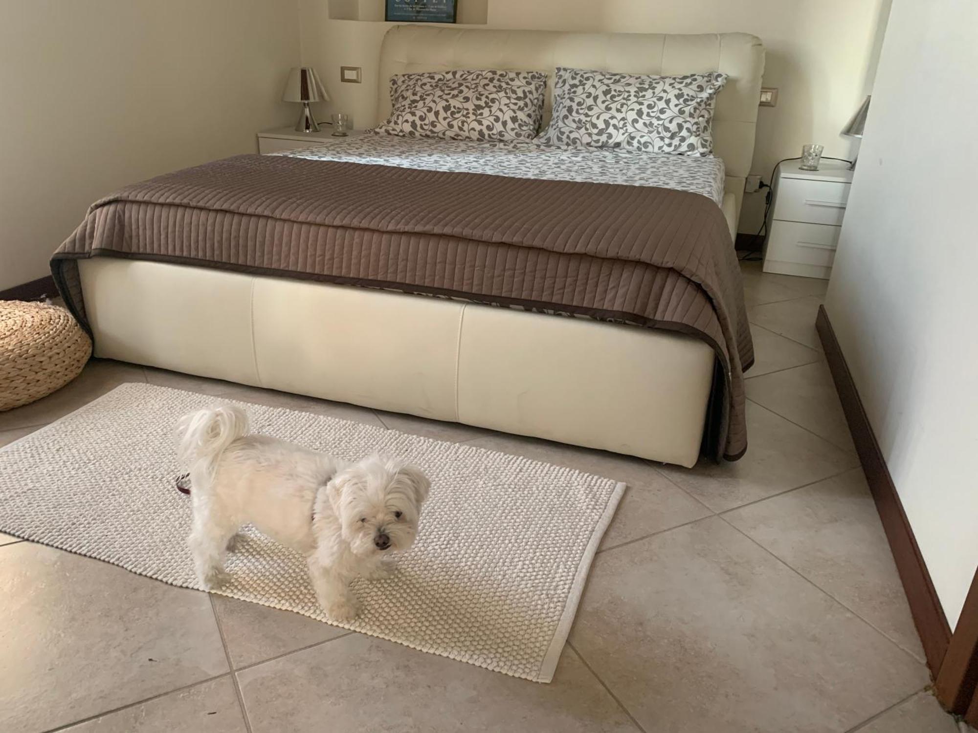 Arona Prestige Apartments エクステリア 写真